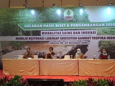 BRG Deteksi Bulan Basah dan Kering di Lahan Gambut