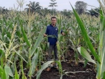 Ilfan, Jadikan Masyarakat Perdesaan Gambut Saudara Kedua