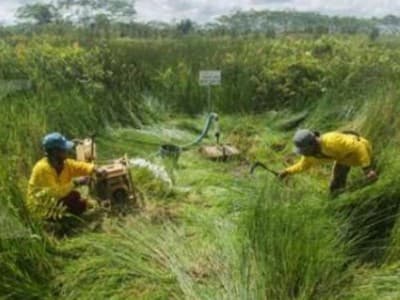 Desa Peduli Gambut dalam Kerangka Pembangunan Berkelanjutan