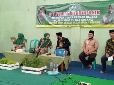 Gandeng LPPNU, Muslimat NU Subang Kembangkan Sayuran Hidroponik