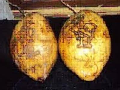 Korelasi Tradisi Nebus Weteng dan Naskah Serat Murtasiyah Cirebon 