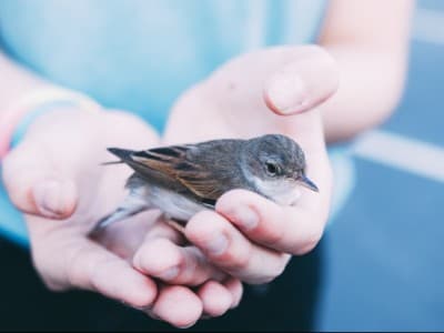 Khutbah Jumat: Allah Sembunyikan 3 Perkara dalam 3 Perkara