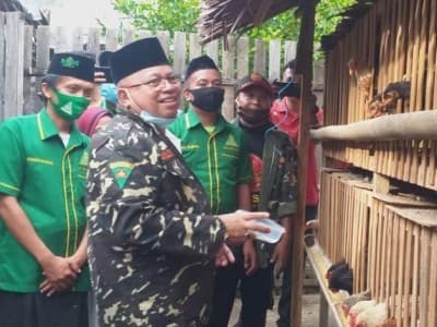 Badan Usaha Ansor Bolmut Sediakan Ayam Kampung