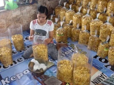 Membagi Peran BUMN Bidang Keuangan dan Mimpi Pengembangan UMKM di Indonesia