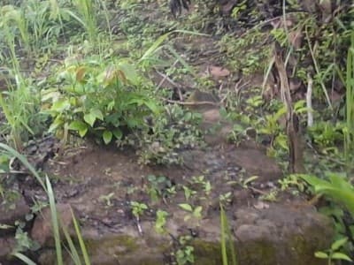 Jejak Prajurit Pangeran Diponegoro di Lasem