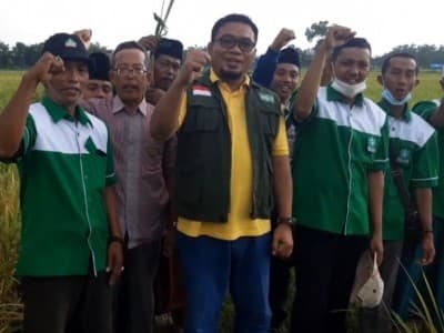 Kesuksesan LPPNU Jatim Budi Daya Padi dengan Pupuk Organik