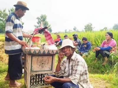 Harga Gabah Turun, Petani Ponorogo Keluhkan Rencana Pemerintah Impor Beras