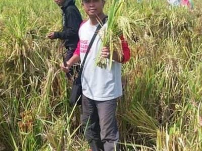 Pembatasan Pupuk Bersubsidi Makin Sengsarakan Petani