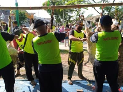 Arisan Kurban Apakah Termasuk Kurban Nazar?