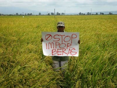 Akademisi: Indonesia Surplus Beras