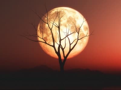 Mukjizat Nabi: Terbelahnya Rembulan pada Nisfu Sya’ban