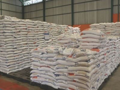 Rencana Impor Beras Resahkan Petani