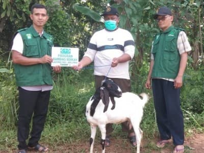 LAZISNU Adiluwih Pringsewu Luncurkan ‘Kambing Berkah’