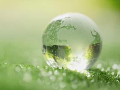 Akhlak kepada Lingkungan