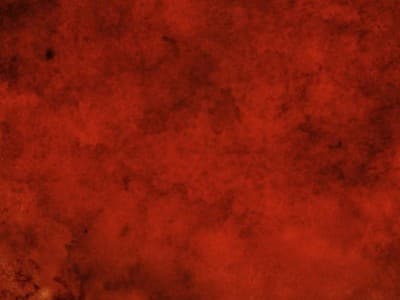 Terorisme Berasal dari Pemahaman Agama yang Salah