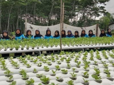 ISNU Bondowoso Kembangkan Hidroganik untuk Budidaya Sayur