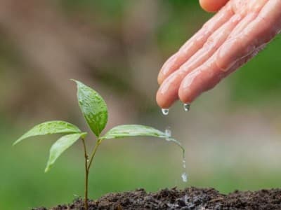 Kelestarian Lingkungan Harus Menjadi Perhatian Bersama