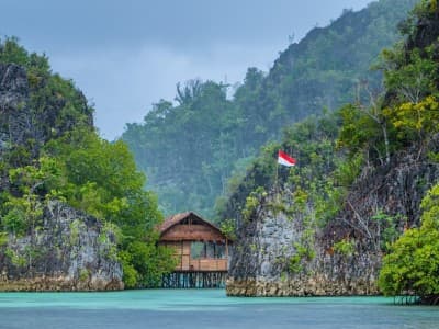 Mencari Titik Temu dalam Persoalan Papua