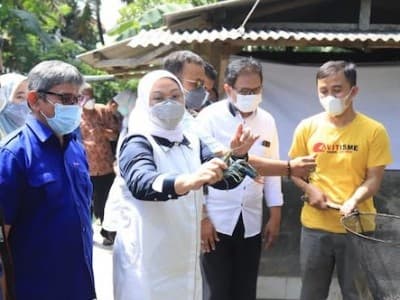 Dari Nila dan Lobster, Menaker Kesengsem Lihat Warga Tasik Bertahan di Masa Pandemi