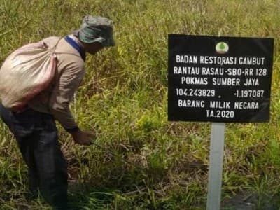 Tujuan Restorasi Gambut Perbaiki Perilaku Sosial dan Praktik Ekonomi