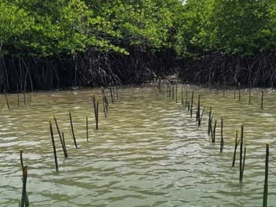Musisi Nugie: Pemandangan Indah di Film Harus Sama dengan Aslinya
