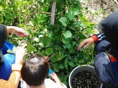 Pesantren At-Thaariq Garut Pulihkan Ekonomi dan Lingkungan dengan Agroekologi