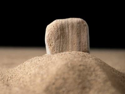 Ulama Wafat, Ikan dan Burung pun Berduka