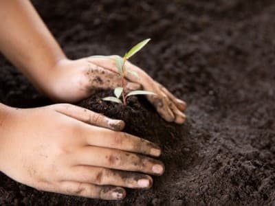 Ijazah Amalan agar Orang Mau Menjual Tanahnya