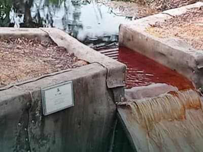 10 Kegiatan Rehabilitasi Mangrove Berbasis Pembangunan Perdesaan