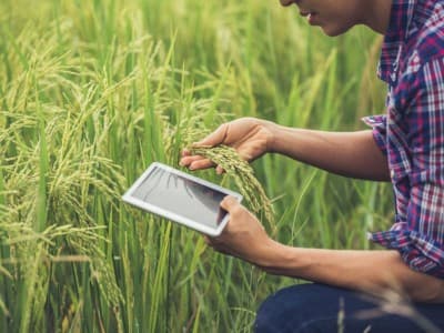 Agro-Trading dan Nasib Petani dalam Kajian Fiqih Muamalah