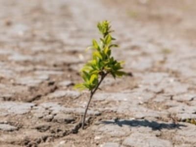 Gerakan Antaragama Perlu Diperluas untuk Kurangi Krisis Iklim