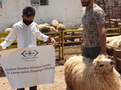 Jelang Idul Adha, LAZISNU Lasem Kurban Domba untuk Palestina