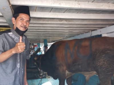 PWNU DKI Jakarta Sumbangkan Sapi ke PCNU se-Ibu Kota