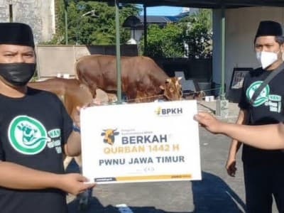 NU Care-LAZISNU-BPKH Sebar 1.000 Sapi ke Pelosok Negeri