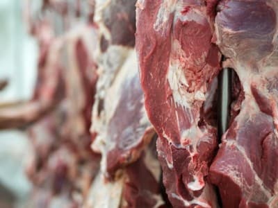 Ketua Fatayat NU DIY Bagikan Tips Menyimpan Daging Kurban agar Awet