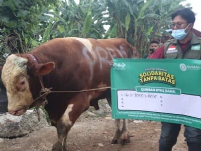 Idul Kurban, NU Care-LAZISNU Wujudkan Solidaritas Tanpa Batas