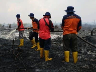 Pemadaman Kebakaran Area Gambut di Sambas Manfaatkan Sekat Kanal dan Sumur Bor BRGM