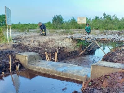 Kemarau Tiba, BRGM Perkuat Perlindungan Ekosistem Gambut di Sumatera