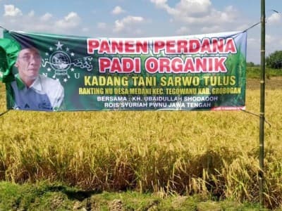 Panen Padi Organik di Grobogan, NU Jateng: Semoga Petani NU Semakin Sejahtera