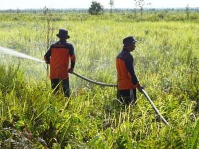Langkah BRGM Antisipasi Kebakaran Gambut di Kalimantan