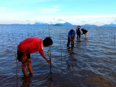 Wujudkan Tema HUT Kemerdekaan RI dengan Percepatan Restorasi Gambut dan Rehabilitasi Mangrove