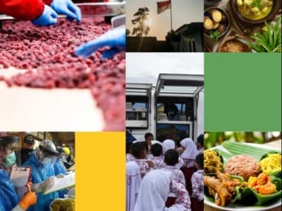 Kabupaten/Kota Pangan Aman