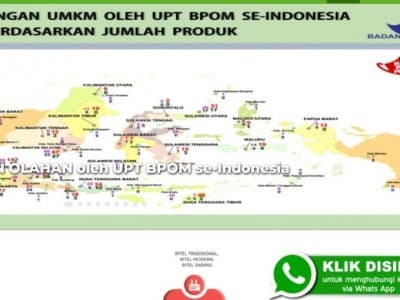 Upaya BPOM dalam Mendukung Kemudahan Penyelenggaraan Perizinan UMKM