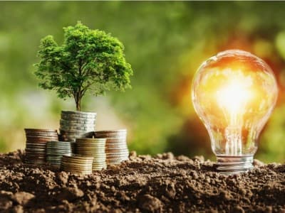 Harta menurut Mazhab Hanafi (2): Tidak Halal pun Masuk Kategori Harta