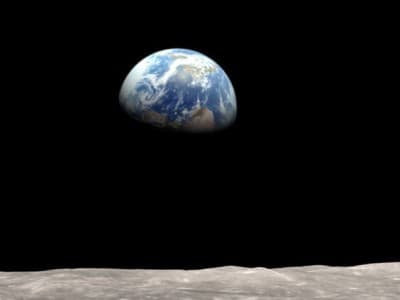 Khalifah yang Teledor di Muka Bumi