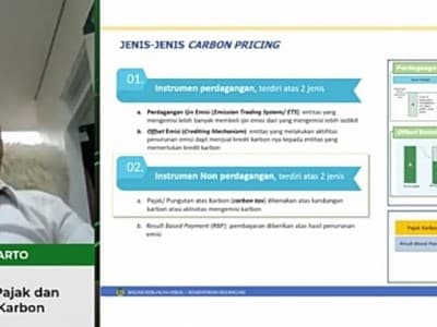 Kemenkeu Jelaskan Peluang Implementasi Pajak dan Perdagangan Karbon di Indonesia