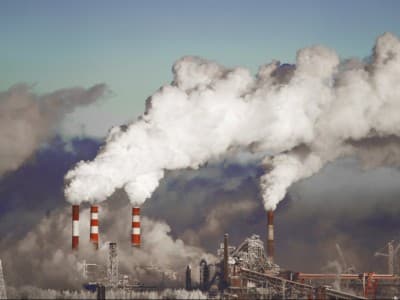 Pajak Karbon sebagai Ganti Rugi Kerusakan Alam