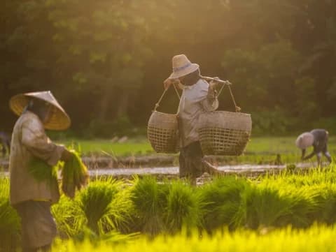 Tafsir Surat At-Taubah Ayat 105: Perintah untuk Bekerja Keras dalam Islam