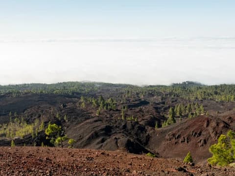 Reforma Agraria Berkeadilan dalam Putusan Munas Alim Ulama NU