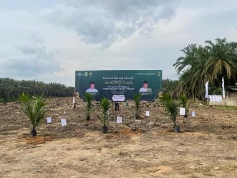 Berkah Harlah NU di Sumsel, 317 Hektare Kebun Sawit Bakal Diremajakan